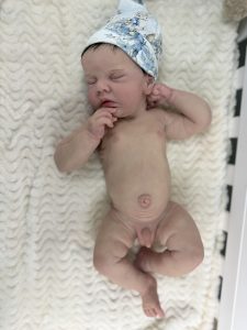 Allie-Boy